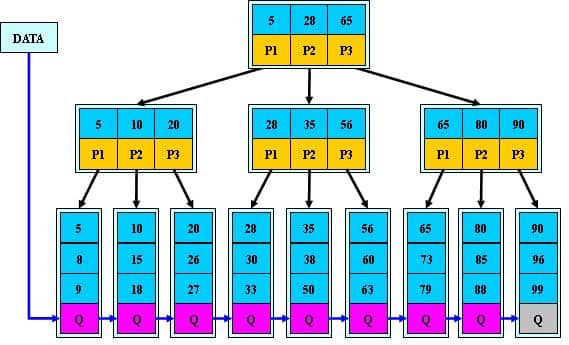 B+树示例图